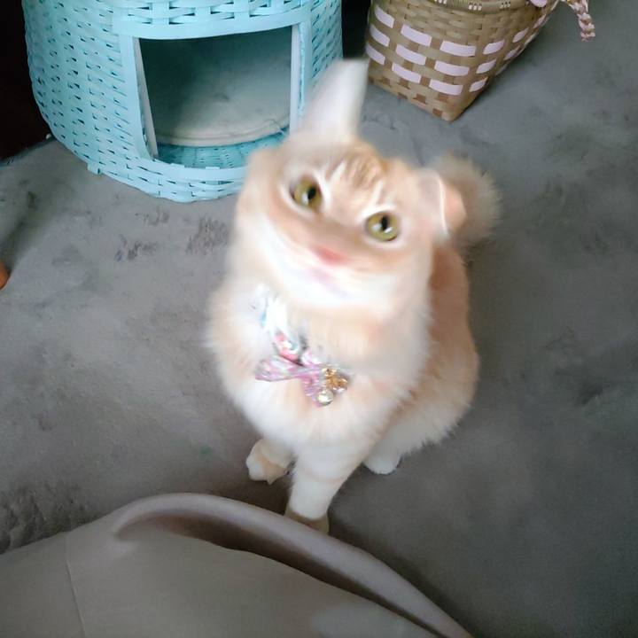 B8d6e421 948e 41da a36b ac992474a5a6 1661984303232