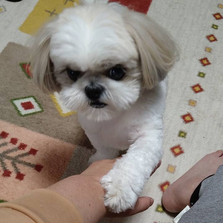 B8d6eab6 1adb 47ba 8d5a e68c05990c64 1655247444282