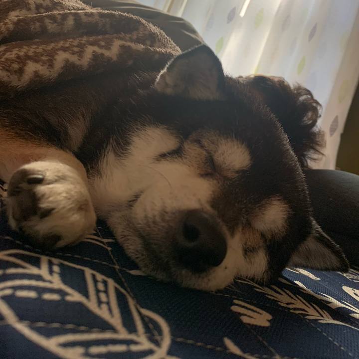 B8d709a8 2236 4c3d 9289 1eb5cfa931fb 1718351807111