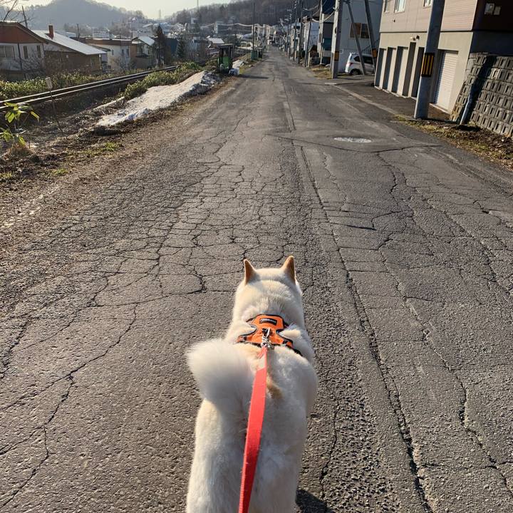 B8d72b36 ed20 4878 a628 e0d9a6932e62 1618092894861