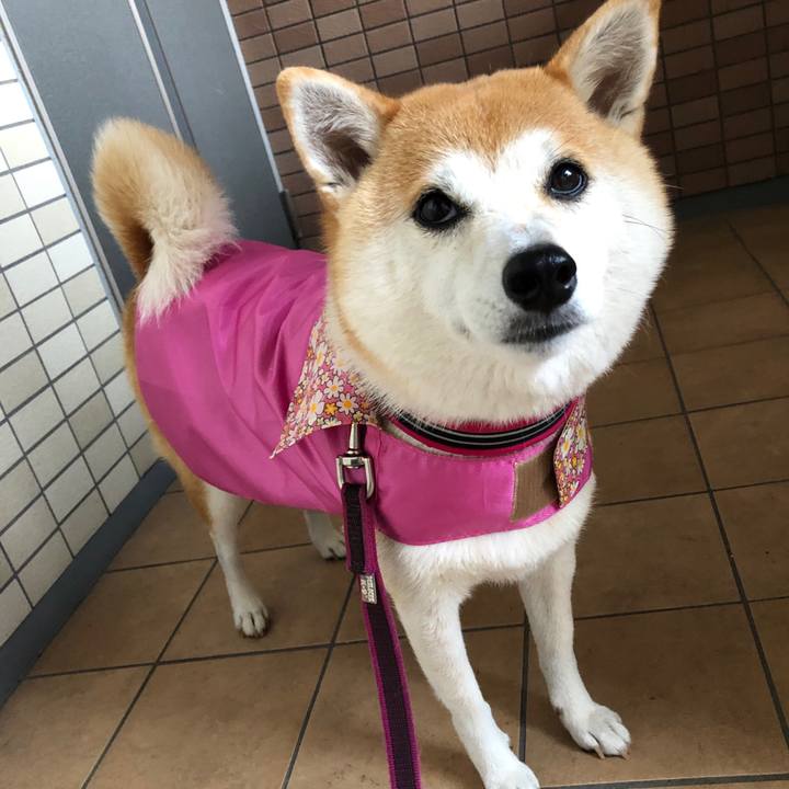 B8d757f2 2b31 4fd8 8679 d226ab617bc9 1566986194269