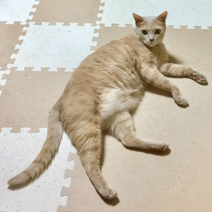 B8d788ea 6a5b 4ba3 9685 4f3aac1ccb9a 1534931825339