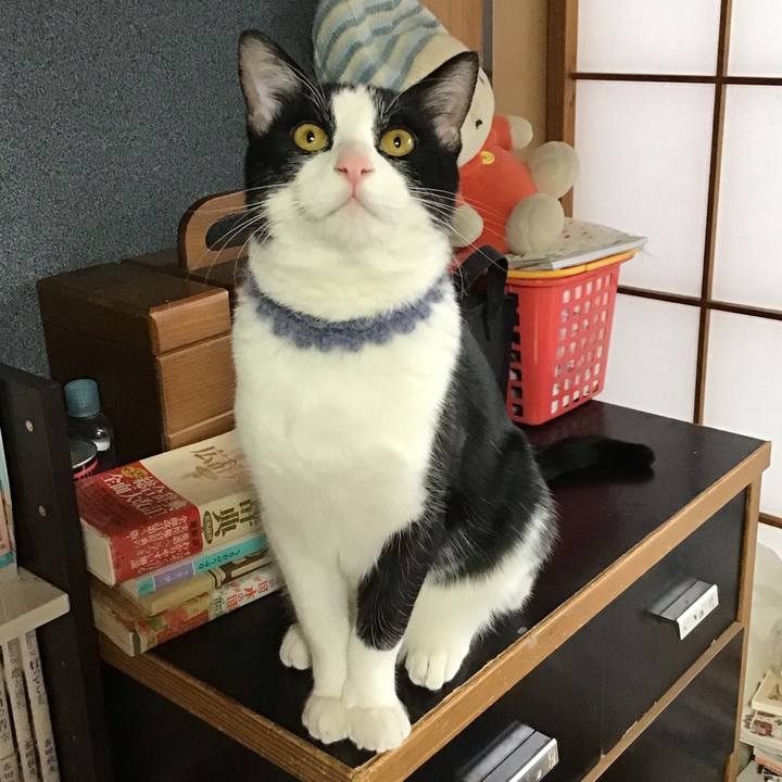 B8d7a3cb 6148 475d bf8f 12ae0d5b6807 1642987320980