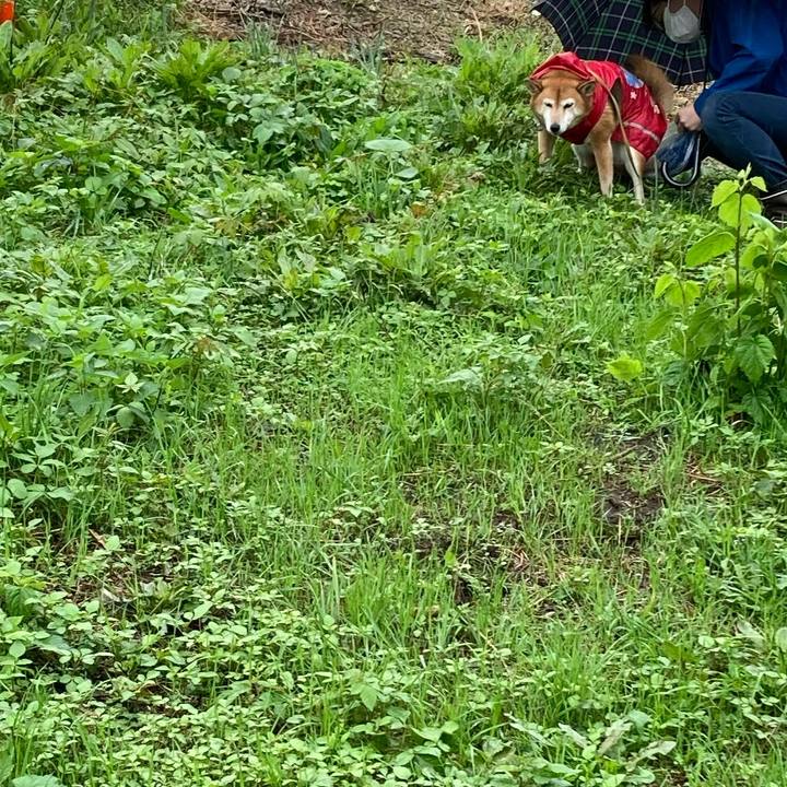 B8d7beec f23a 4a71 9fee 5f9fb68bd00c 1634438633966