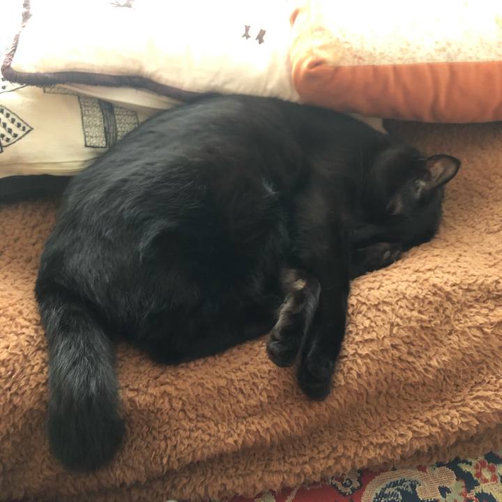 B8d7c532 f5b6 4144 a178 8603cce3da42 1551595322488