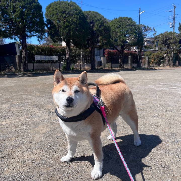 B8d7cc0b 016e 4680 bd59 a10bf0e108e3 1711075990281