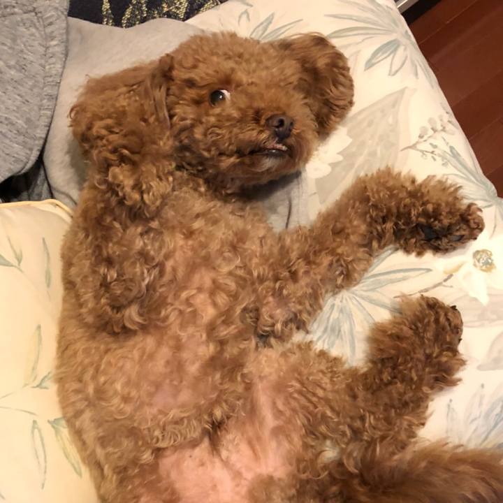 B8d7cf24 0d3f 4304 ad91 a40324dc3ed6 1517713346273