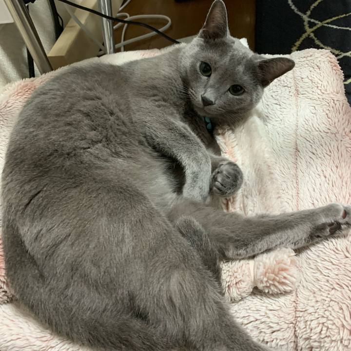 B8d7e883 09dc 4ae8 9d90 09e9db1bc096 1601157541731