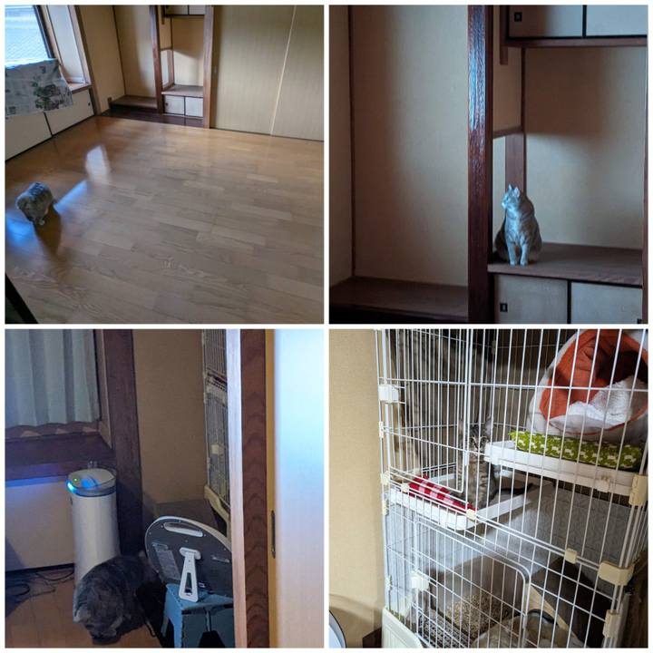 B8d810b0 a34a 47b5 9914 e29b9eef2ea8 1700106635495