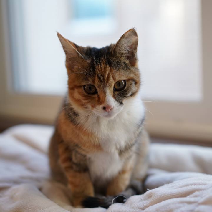 B8d8162b fe81 4820 8e7f 57d58ba8d604 1575023229375