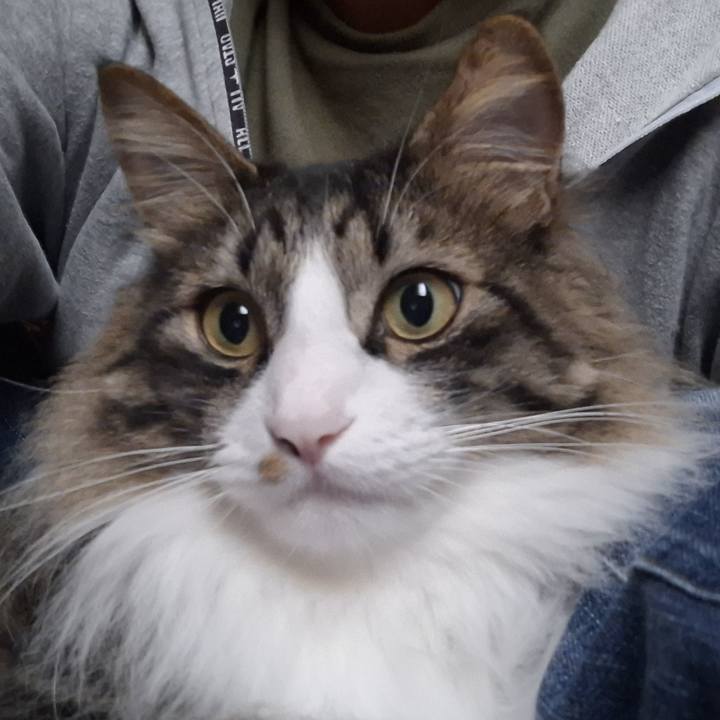 B8d82b4b 337a 429d ab0a 306e0e1d8b5f 1748106921037