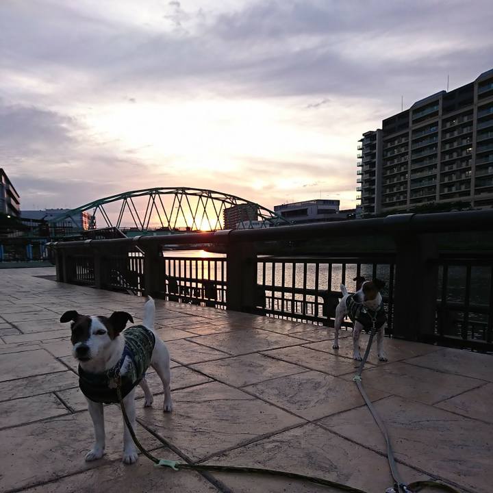 B8d831f5 994d 4575 9359 ddc140d991df 1590835000815