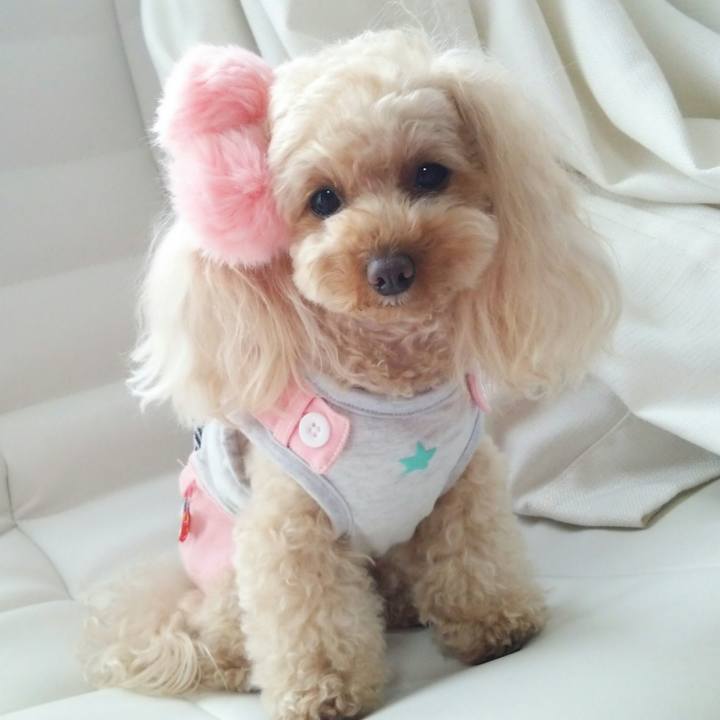 B8d84480 4ede 4341 87e5 07e4a47a0472 1519816205599