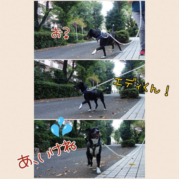 B8d85462 dc1f 4490 9683 cf6b51489bf9 1663374159802