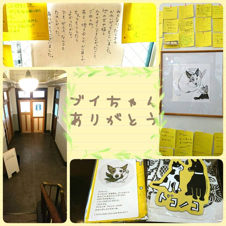 B8d895a0 2aab 41ff 8d37 cfc2981c3f5e 1524644884748