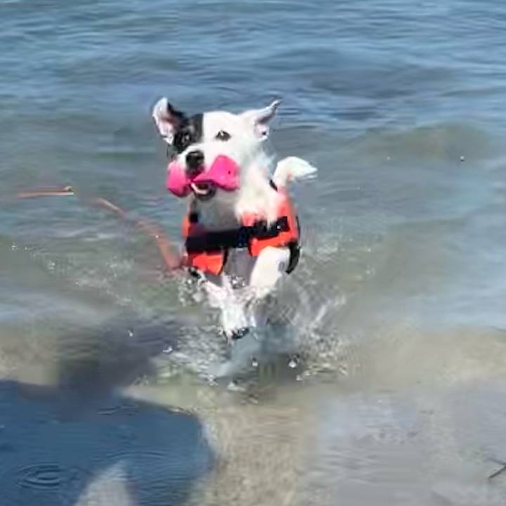 B8d9231a fba6 4f8f b3e7 66cb0f234ba8 1626689679411