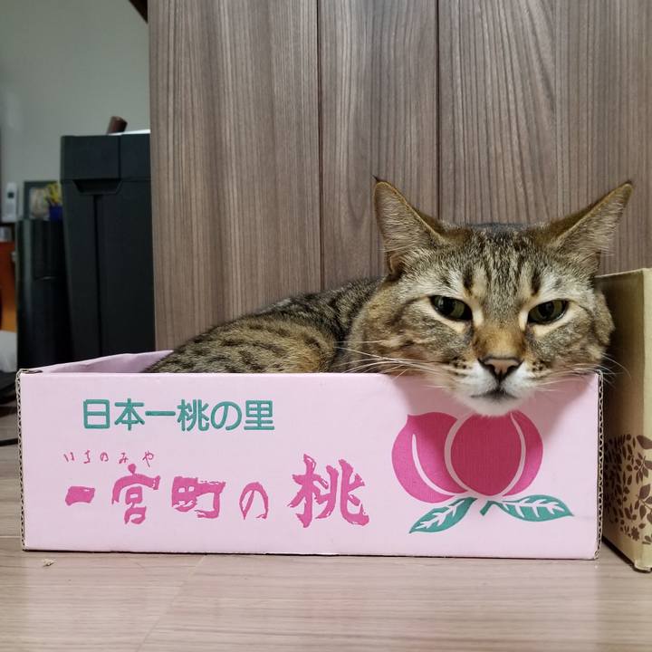 B8d975a5 9858 479a 9a50 ec590a6e0165 1616125542892