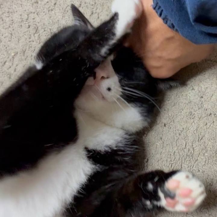 B8d98f34 3f2c 4d6a a664 53f0a408f977 1749780976330