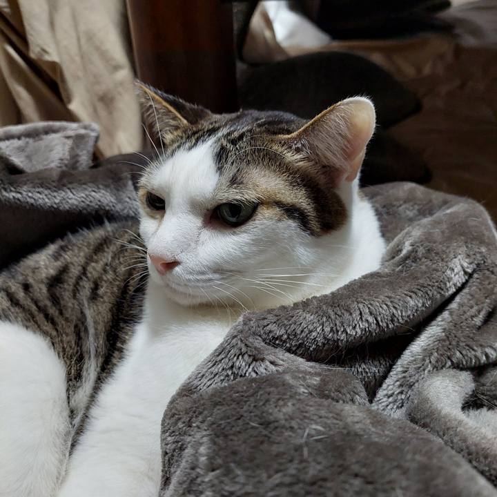 B8d9b9cc f1b9 433f 8833 72b443790f5c 1644355747389