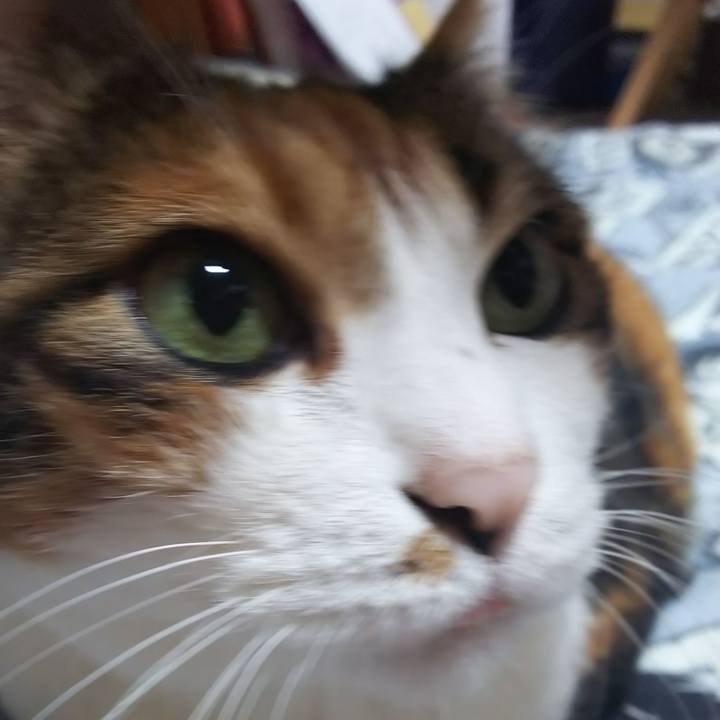 B8d9dd51 e2b4 44c1 9605 a87b5a0594da 1565905536661