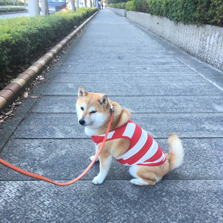 B8d9e527 f967 4b5f b437 e5fa7e352569 1552036674457