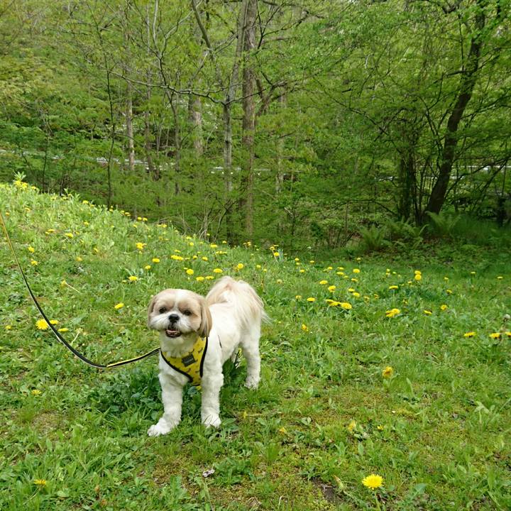 B8da1b35 e0ca 4b76 868e d9b0aab23370 1558238730579