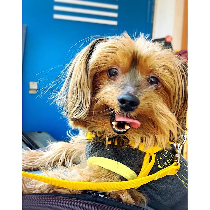 B8da630f 958e 4ed4 aa70 cdd420b7a9ff 1554798701915