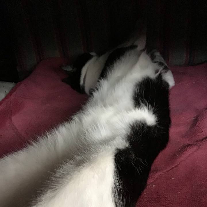 B8da6381 e661 44ec a214 71cc660fd661 1652236083260