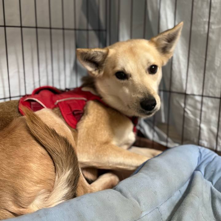 B8da81fc 3465 43d3 a8e2 eb47f5ae7950 1772714272251