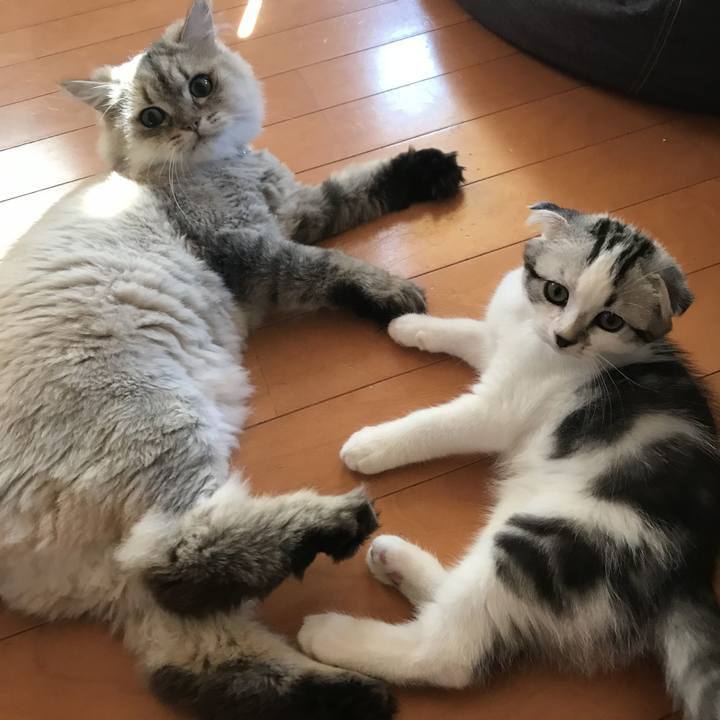 B8daec91 d5d0 4f92 8ef9 455a0ef8cd86 1627170215156