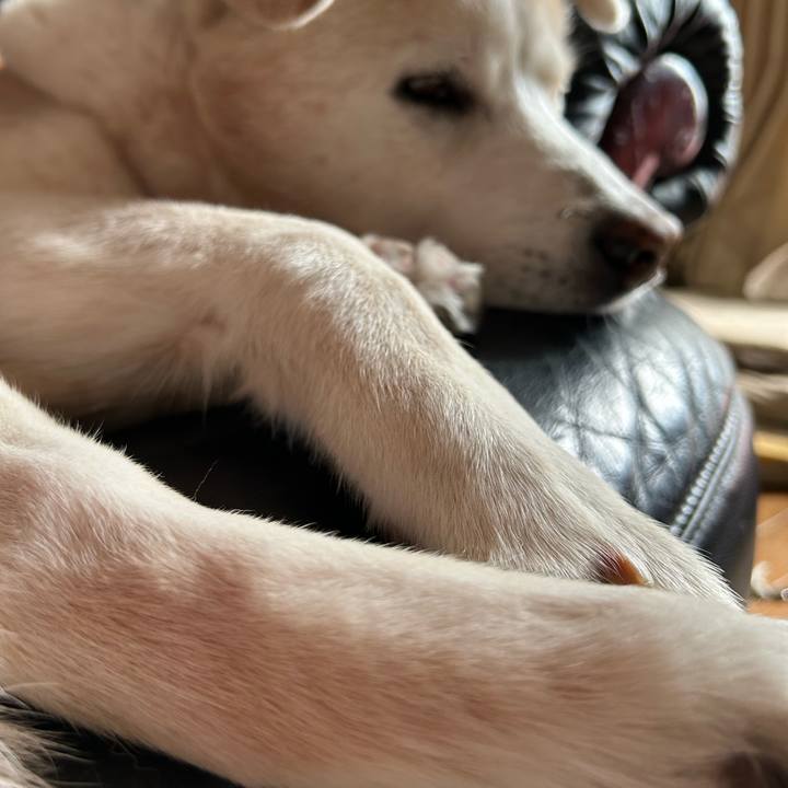 B8db2ad3 05cf 4057 9cdf 180529987c26 1735480137659