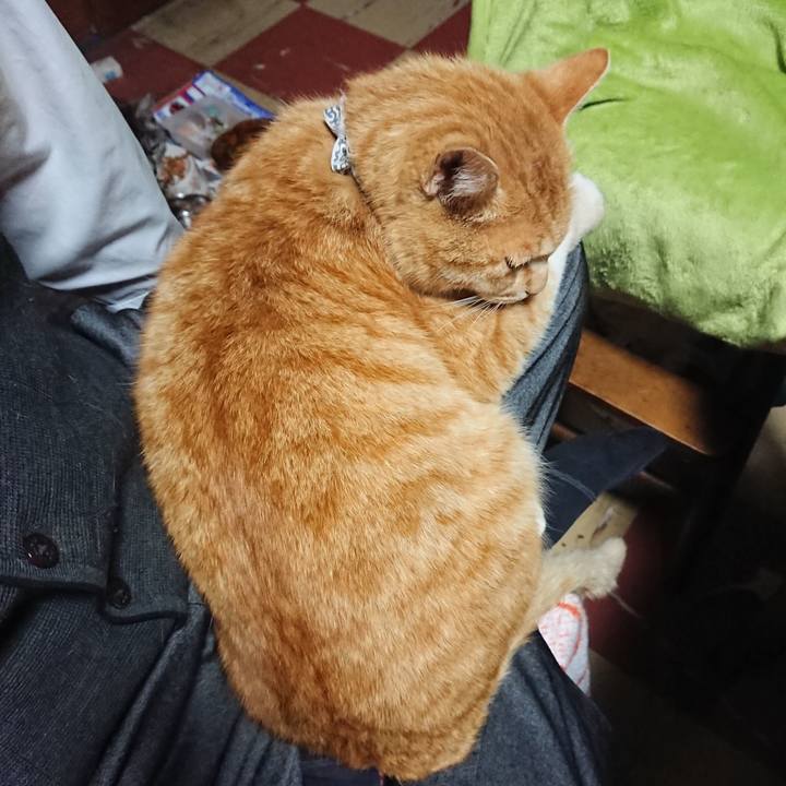 B8db2c2c 2b05 4e4a a9d2 aef8301a5ea8 1587547130275