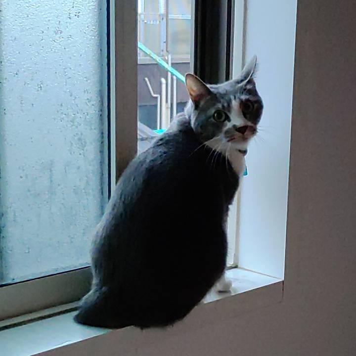 B8db35a3 0a3e 41aa adbe 5fbdc2c6c0f2 1701382417584