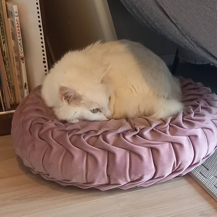 B8db3fcb 3f02 44d3 a9d5 47e072947b67 1649767030089