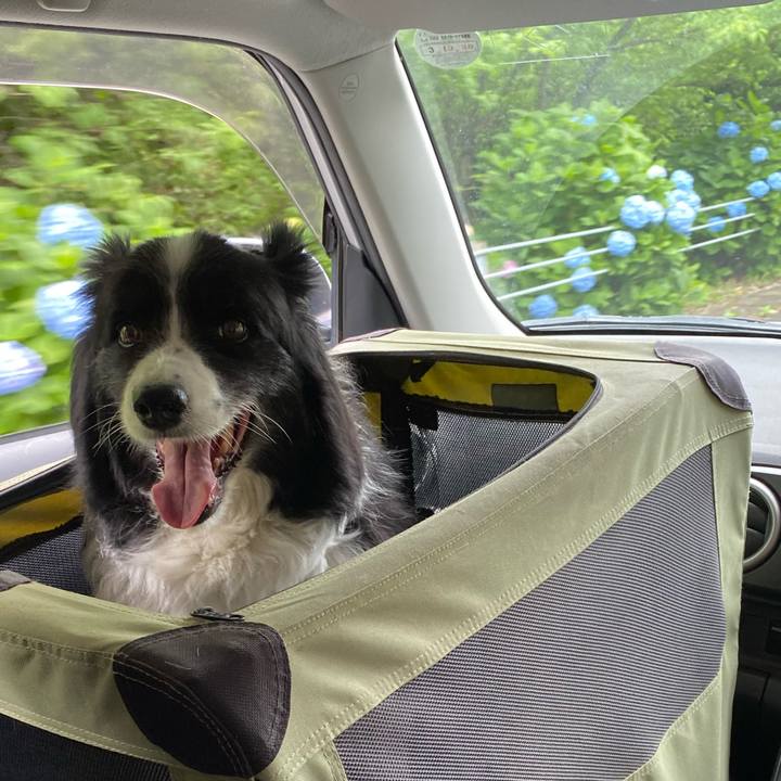 B8db4b56 53db 4199 b017 f37fc04771e5 1654495661290