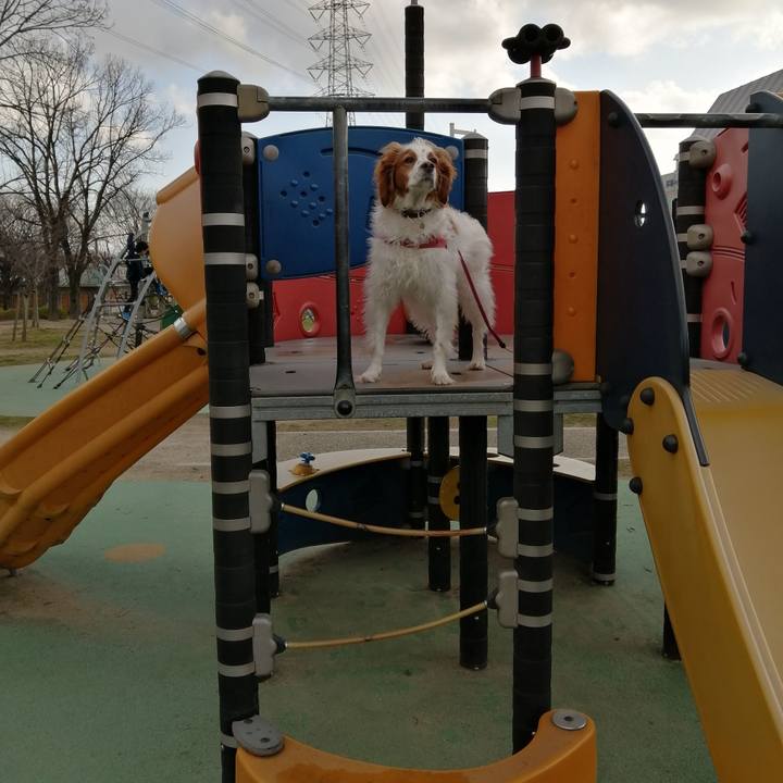 B8db58ec f38f 48dc a5af 71c96305a275 1583398338587