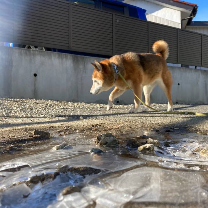 B8db9d13 f04c 4847 81b1 228e44b79969 1671865104443