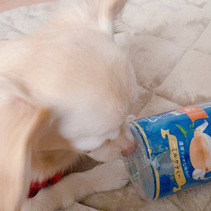 B8dbbc0a e2a5 48a8 957b 3fe8039a07a3 1607933032628