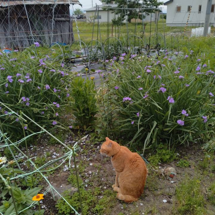 B8dc0ed3 2fd7 487c 93af da11eefff3b6 1717886021921