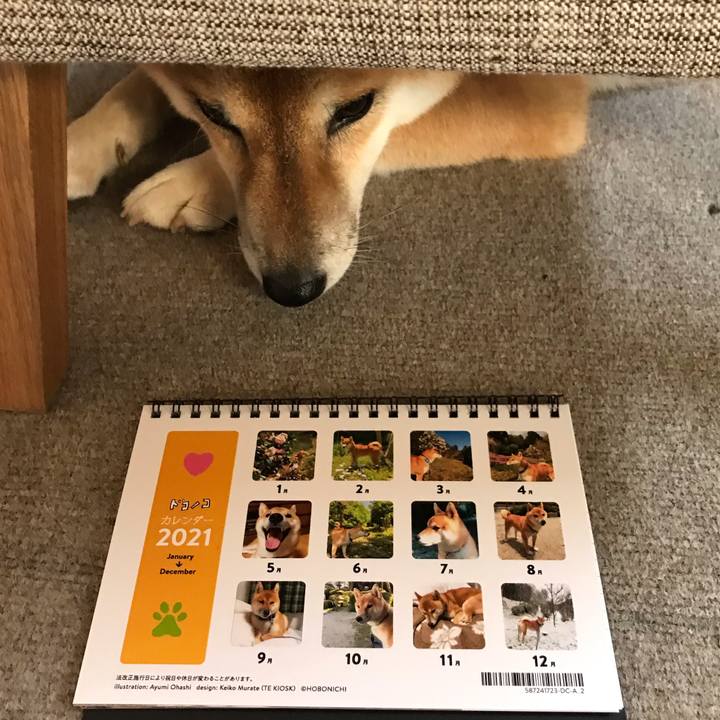 B8dc909e f42f 43ee bba8 9a97fa0166d8 1605856417743