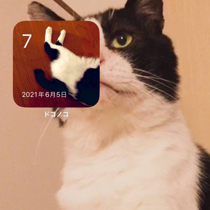 B8dcdf89 8c09 4b8e 8ac9 57014358f2e0 1686113650365