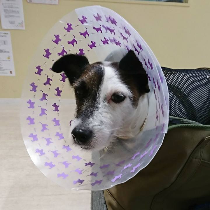 B8dd2fec 78aa 4d25 a4f0 9de2af74d695 1538211554004