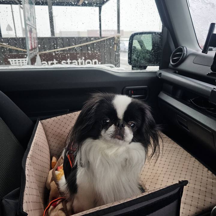 B8dd4433 d6f3 4dc0 b632 76e3fa279d12 1740987925601