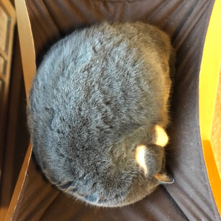 B8dd78db 2fa8 4342 85f1 7ac9e82f18b4 1613795606090