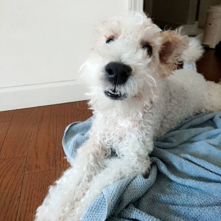 B8dd7ad1 9d23 4ead 972e 315b588d6ddd 1531013039214