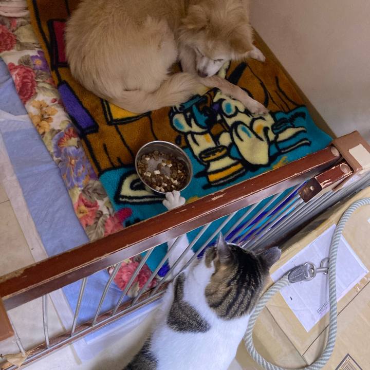 B8dd8574 12db 4a23 af92 88a9d68d5d9a 1703145074883