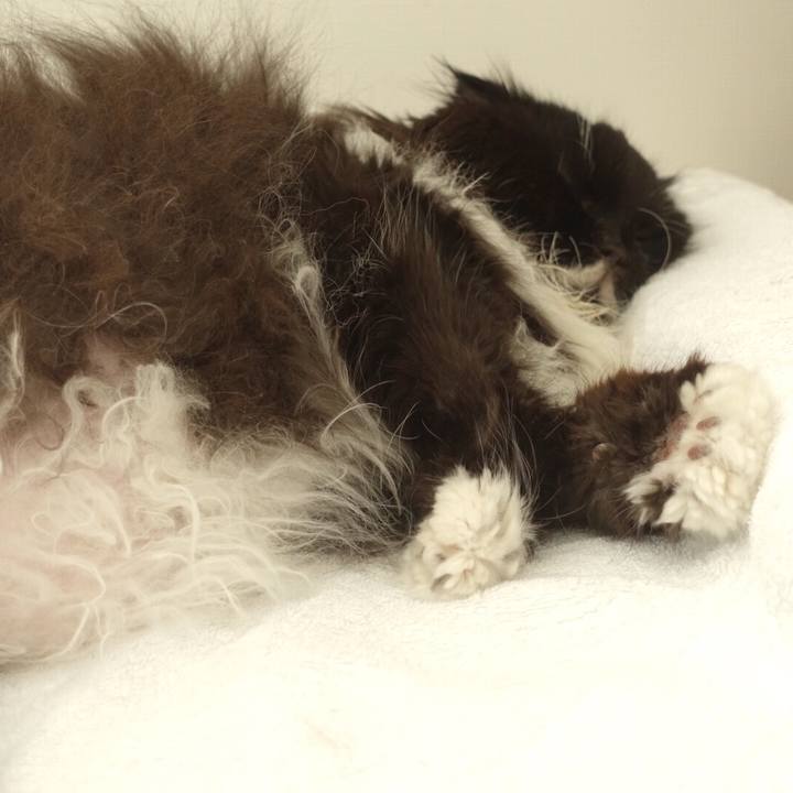 B8ddac92 e609 4cb3 827f 53486b3e8e87 1578134177578