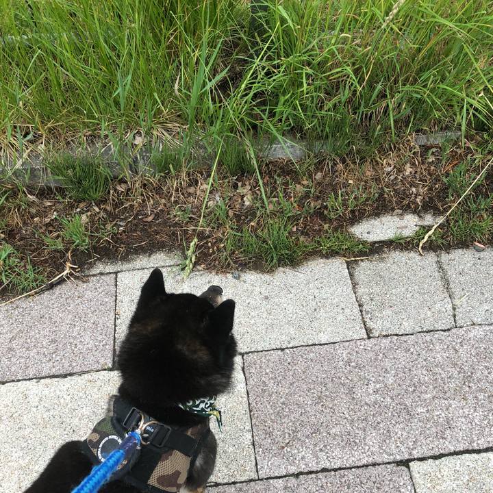 B8ddecfc 0e38 49ca 8c61 c868ba28105a 1559771456637