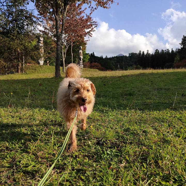 B8ddfe8a 47fa 4bfc 8068 aeb01e42b2b3 1602036110060