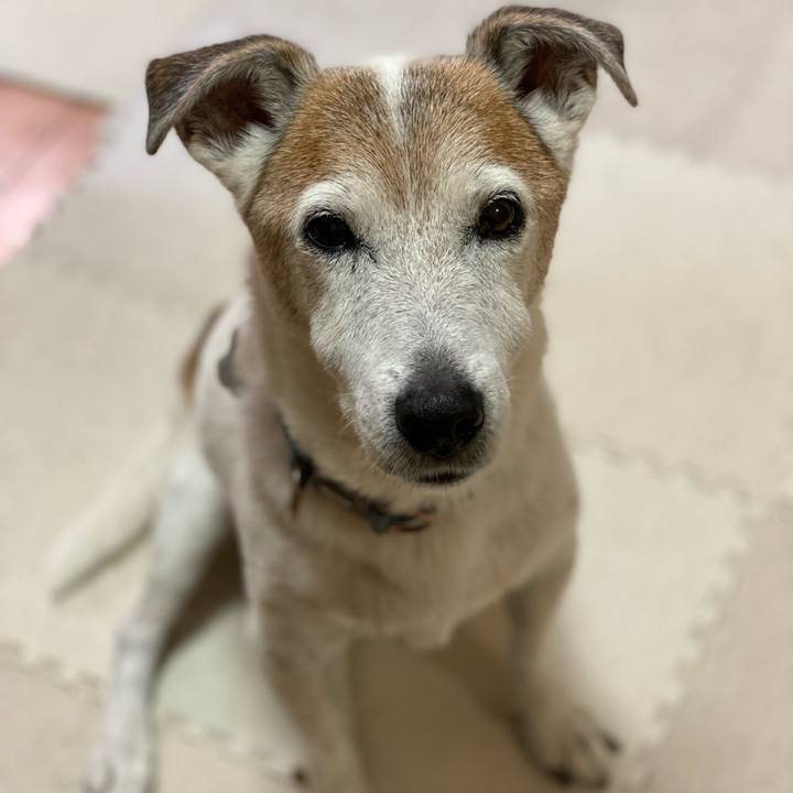 B8de0027 24c0 4c7c bc65 fc0842f168e4 1628293803269